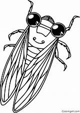 23 Free Printable Cicada coloring Pages Easy To Print From Any Device  sketch template