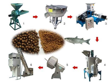 200-300kg/h fish feed production line | fish feed making plant