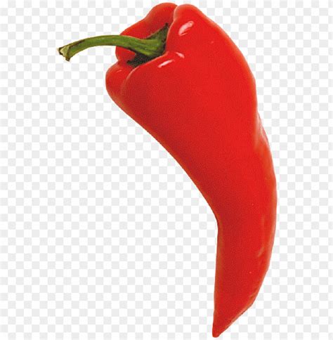 Chili Pepper Red - Chili Pepper PNG Transparent With Clear Background ID 213457 | TOPpng