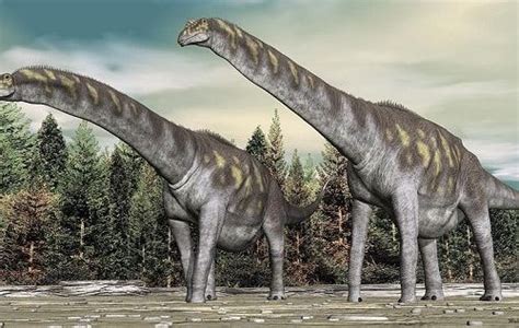 Bruhathkayosaurus Fossils