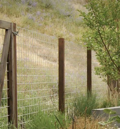 Mesh Panel Fence | Backyard fences, Fence design, Diy backyard fence