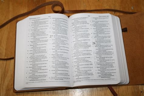 Crossway ESV Large Print Compact Bible (24) - Bible Buying Guide