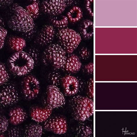 Excellent Totally Free Color Schemes purple Thoughts Many people know the essentials involving ...