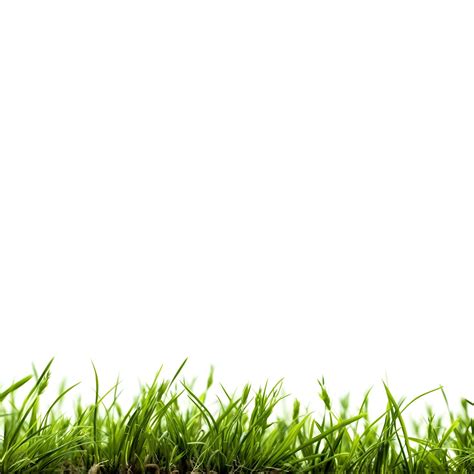 Premium AI Image | Green grass white background