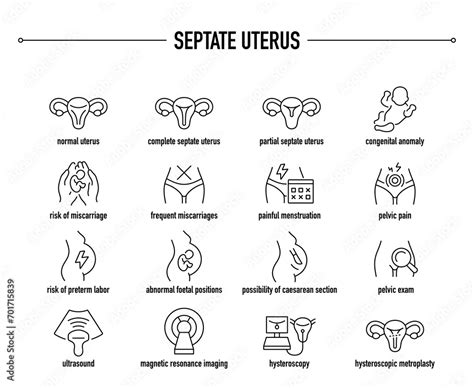 Septate Uterus symptoms, diagnostic and treatment vector icons. Line editable medical icons ...