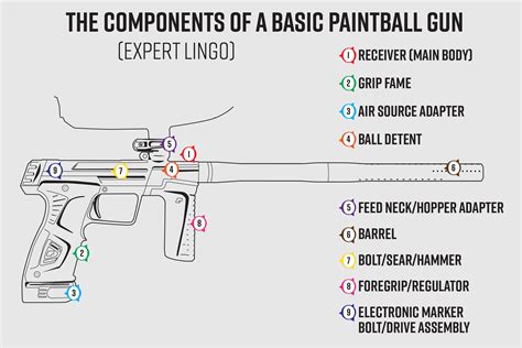 Basic Components of a Paintball Gun - Valken Sports