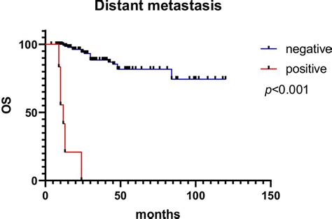 The survival curves according to distant metastasis | Download ...