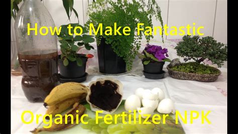 Best Homemade Organic Fertilizer For Tomatoes - Homemade Ftempo