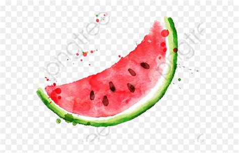 Watercolor Watermelon Slice Png, Transparent Png - vhv