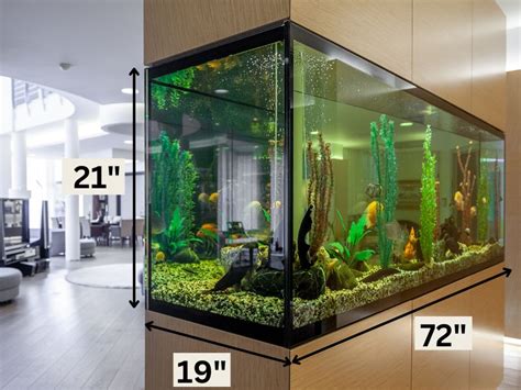 Dimensions Of A 125 Gallon Aquarium - Measuring Stuff