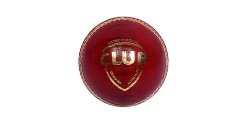 14 Best Cricket Ball Brands in India | CashKaro Blog