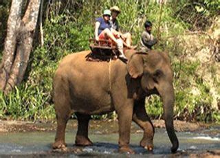 cambodia wildlife sanctuary