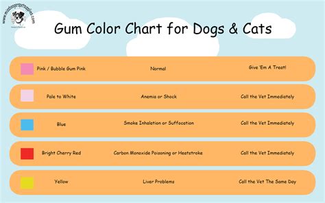 Dog Gum Color Chart