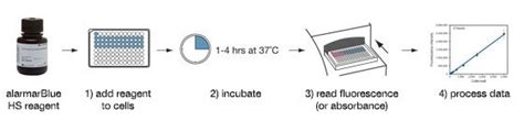 alamarBlue and alamarBlue HS Microplate Assays | Thermo Fisher Scientific - CN