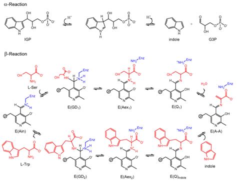 Catalysts | Special Issue : Enzyme Catalysis