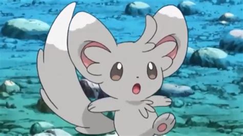 Pokemon Minccino