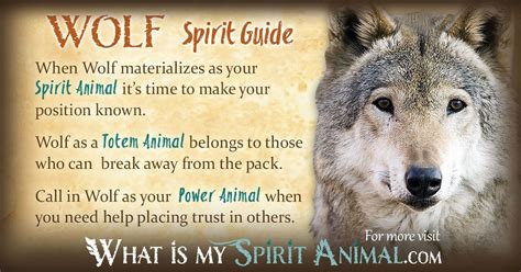 Wolf Symbolism & Meaning | Wolf Spirit Animal & Totem | Spirit animal ...