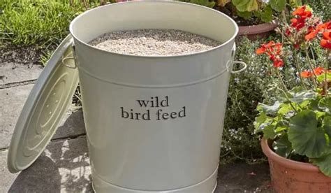 Bird Seed Storage Containers: Perfect Picks for Fresh Feed! - Spark Lark