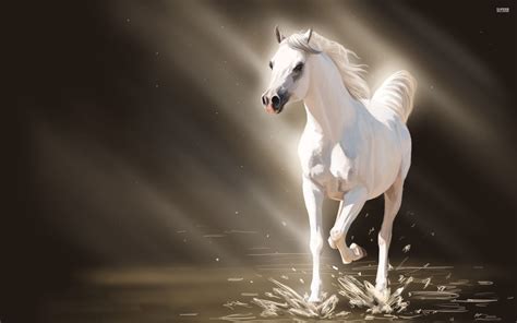 White Stallion Wallpaper 2560x1600 - ImgMob