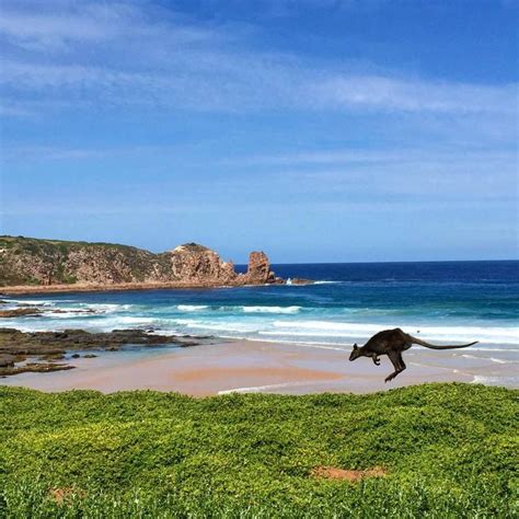 Cape Woolamai, Phillip Island, Victoria Snapped on an iPhone – how’s ...