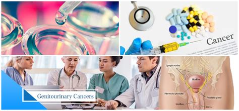 Genitourinary cancer – Chandigarh Cancer & Diagnostic Center