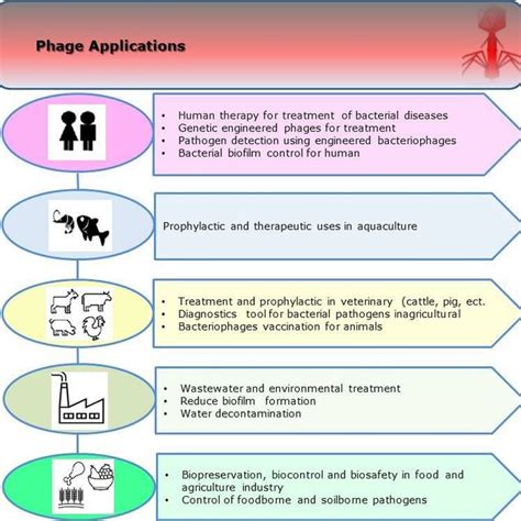 (PDF) Bacteriophage applications in aquaculture