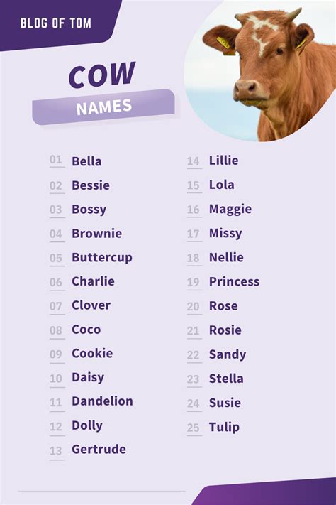 Looking for a name for your new cow? Check out this list of cute and funny names for cows ...