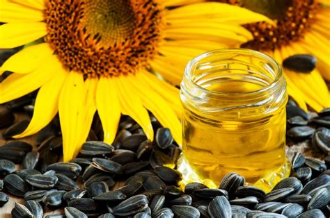 Organic Sunflower Seed Oil, Cold Pressed | Truly Organics