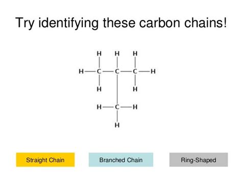 Jason murray carbon chains