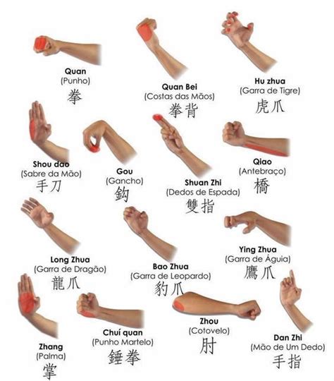 Untitled | Martial arts styles, Wing chun martial arts, Kung fu martial ...