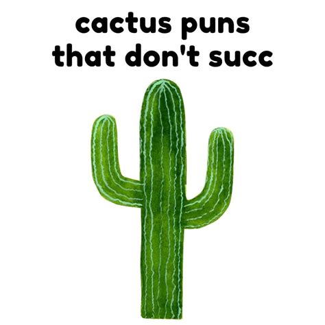 63 Cactus Puns That Are Prickling Funny (It Would Succ to Miss Them ...