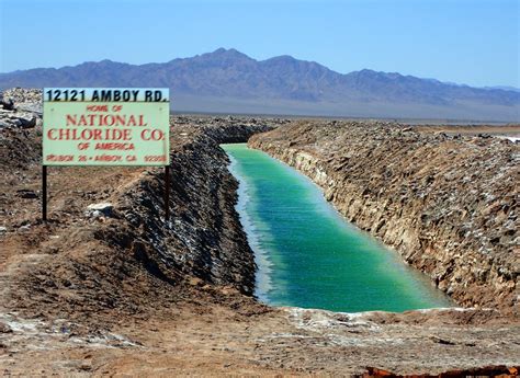 PAMPERED PENGUIN: March 13, 2019 Amboy Crater, Mohave National Preserve, California