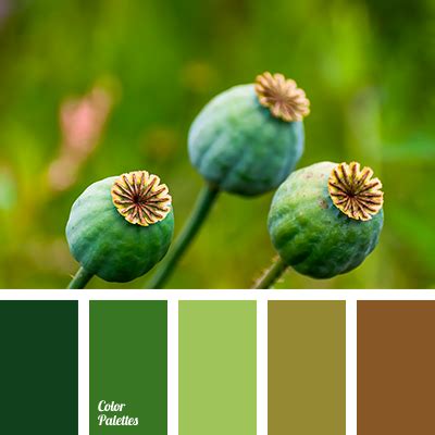 color of green fern | Color Palette Ideas