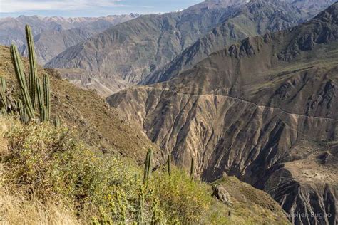 Trekking Colca Canyon