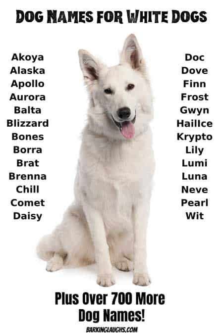 The Best Dog Names for your New Pup | Over 1000 names! | Cute names for ...