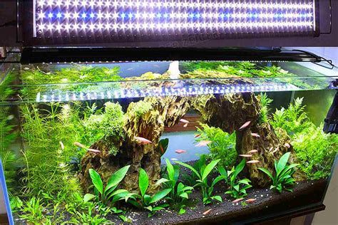 Pin by Lamppedia on Led Grow Lights For Indoor Plants | Live aquarium ...