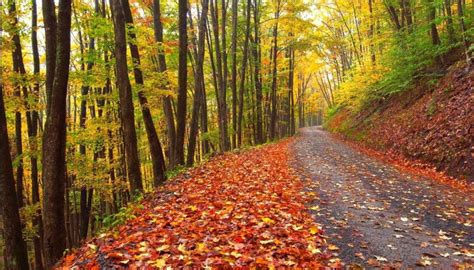 West Virginia Tourism Offers Fall Foliage Map, Road Trip Ideas and Free ...