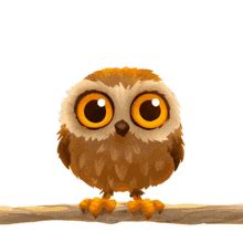 Cute Owl GIFs | Tenor