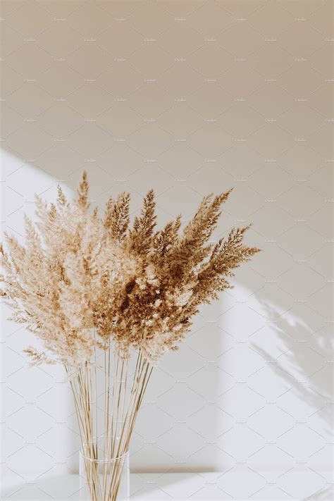 Reeds in vase by Floral Deco background instagram phone iphone design cute aest in 2020. Dried ...