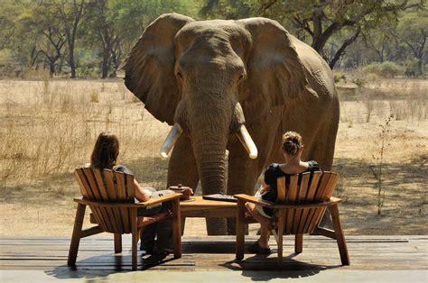 Exceptional safaris in Zambia | Expert Africa