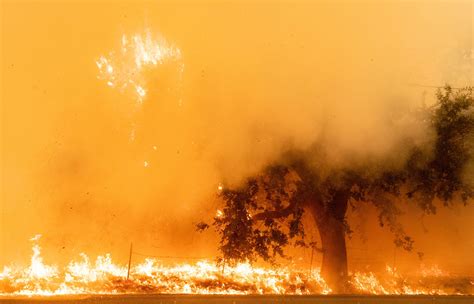 Bay Area Air Quality Map, Update As Wildfires Increase Air Pollution Levels - Newsweek