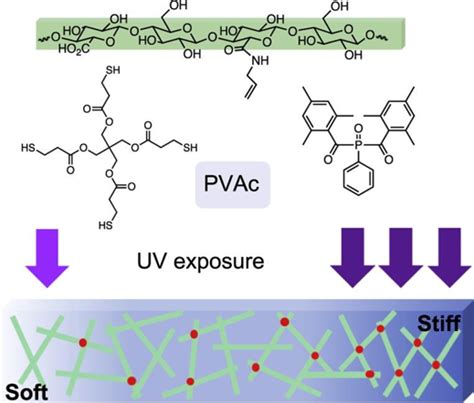 Cellulose Nanocrystal Based Materials | Pritzker School of Molecular Engineering | The ...