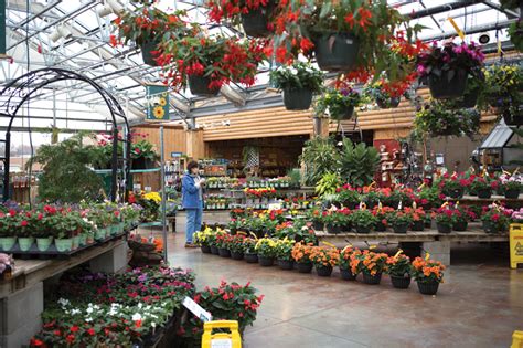 Breezewood Gardens & Gifts - Garden Center