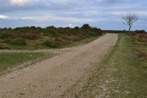 Track on Hampton Ridge © David Martin cc-by-sa/2.0 :: Geograph Britain ...