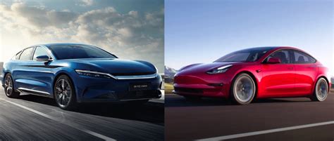 BYD vs Tesla: will the Chinese brand dethrone the American giant? - Beev