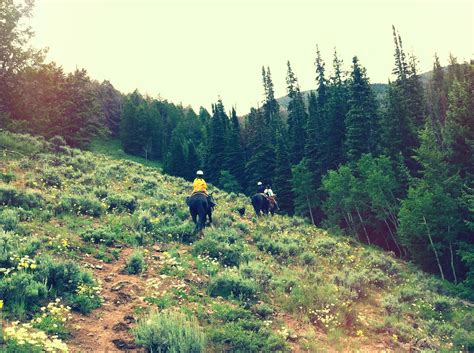 Black Mountain Ranch - A Colorado Dude Ranch - Deliciously Organic