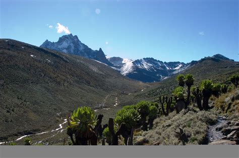 Mount Kenya National Park/Natural Forest | Mount kenya, National parks, Natural landmarks