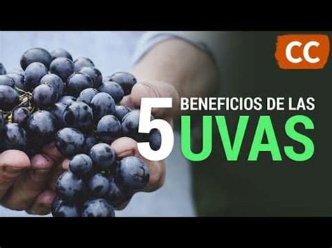 Descubre los beneficios de la uva: una fruta saludable y deliciosa