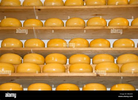 Europe, Netherlands, North Holland, Edam, cheese Stock Photo - Alamy