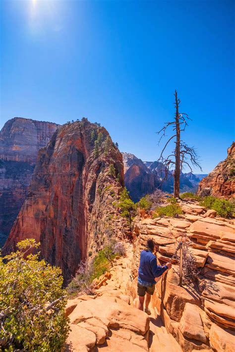 Angels Landing Hike in Zion - 19 Helpful Things to Know